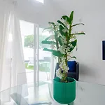 Villa Rooms&suites Princesa Leticia *